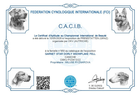 CACIB GRAZ 10.5.2026